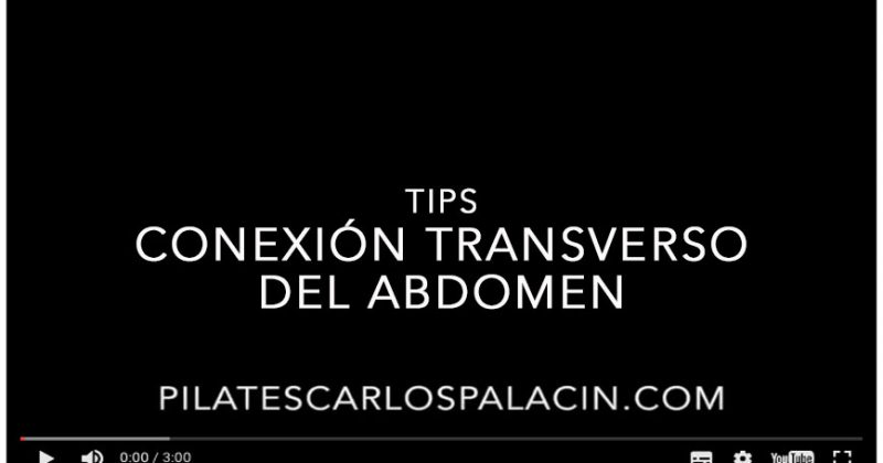 Conexión transverso del abdomen