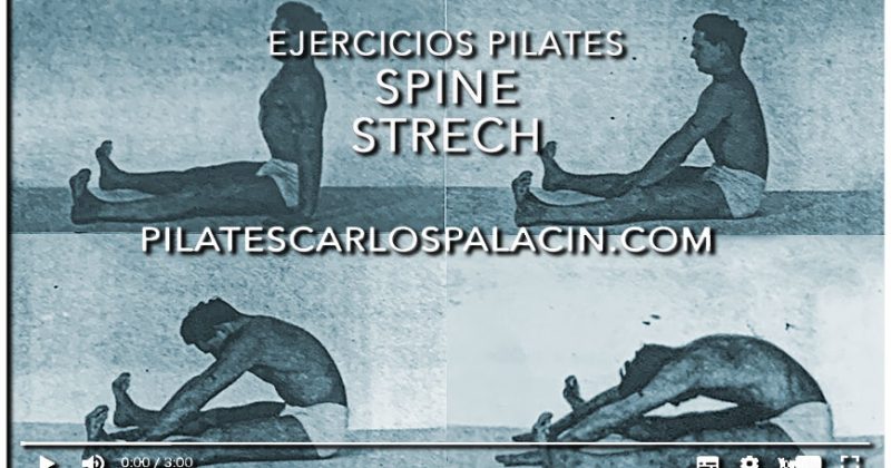 Spine Stretch