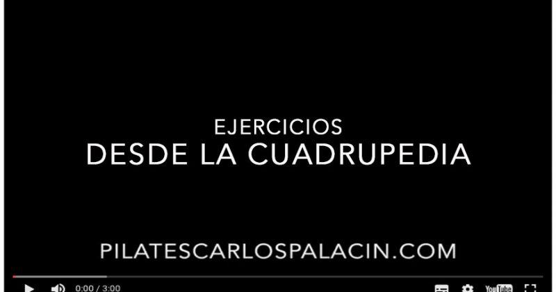 Ejercicios desde la cuadrupedia